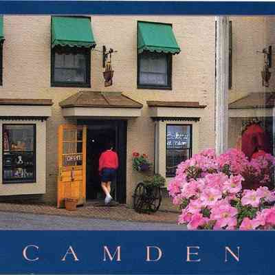 Milliken Collection 021