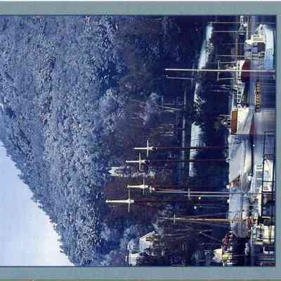 Milliken Collection 022