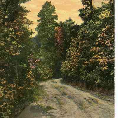 Pat Jones Postcard Collection 047