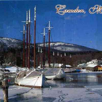 Milliken Collection 023