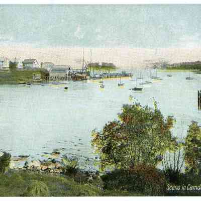 Pat Jones Postcard Collection 259