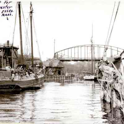 Lime Coaster "Chester Lawrence"