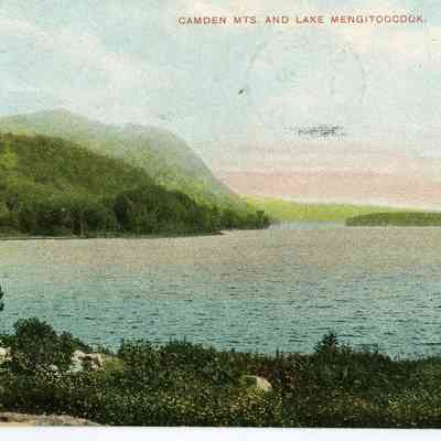 Pat Jones Postcard Collection 048