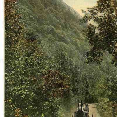 Pat Jones Postcard Collection 049