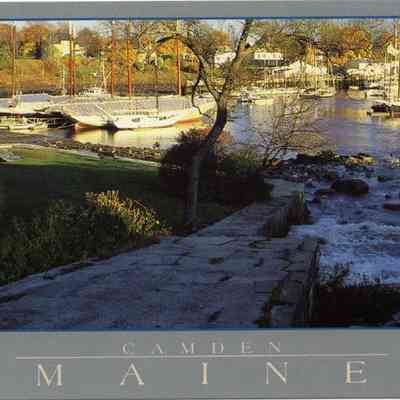 Milliken Collection 026