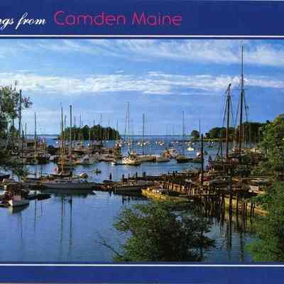 Milliken Collection 027