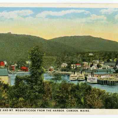 Pat Jones Postcard Collection 264