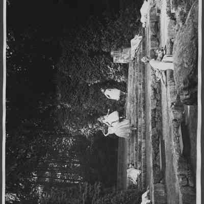 Midsummer Nights Dream