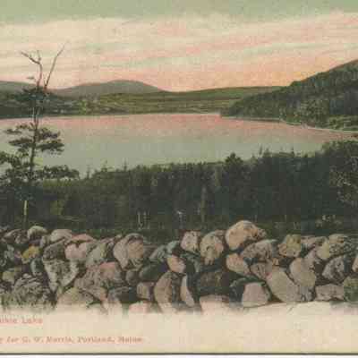 Bowley Collection Postcard 041