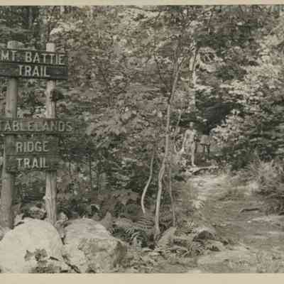 Mt Battie Trail