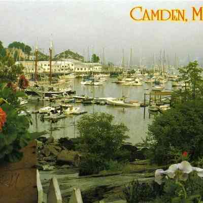 Milliken Collection 031