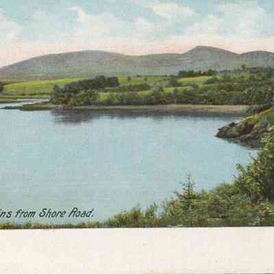 Bowley Collection Postcard 043