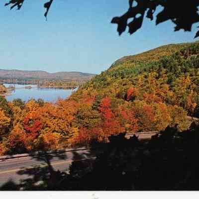 Pat Jones Postcard Collection 057