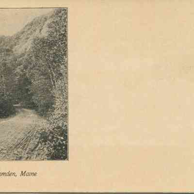 Bowley Collection Postcard 046