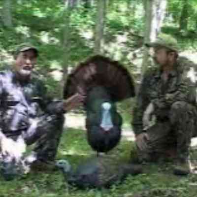 Pretty Boy Decoy Promos