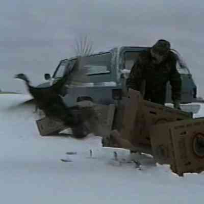Wisconsin Natural Resources // Trapping and Releasing Turkeys // 1995