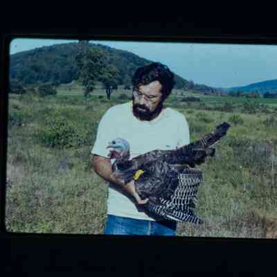 Man holding captured hen