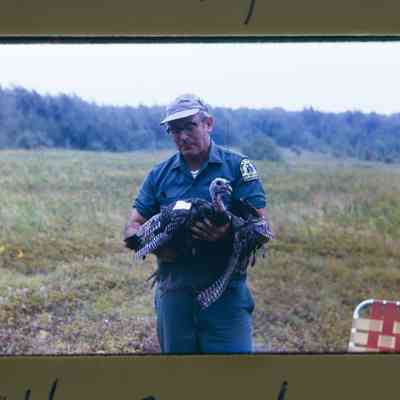 Agent holding hen - New York State