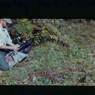 Agent releases turkey from sack