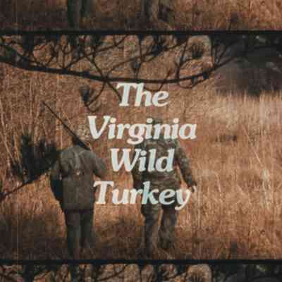 The Virginia Wild Turkey // 16mm