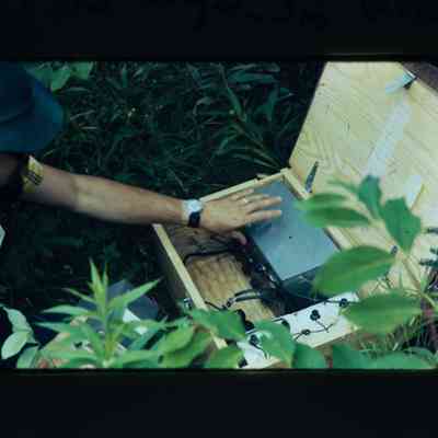 turkey tracking radio in box