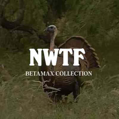 NWTF Betamax Collection // Summary