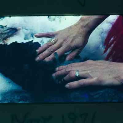 Woman inspecting jake beard