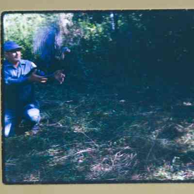 Fred Evans releases turkey