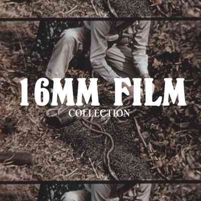16mm and 8mm Film Summary