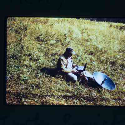 Agent uses satellite to study turkeys