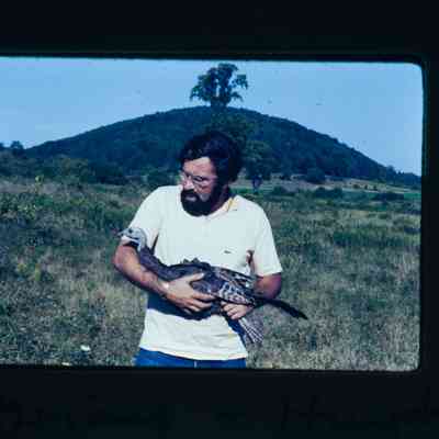Man holding captured poult in summer