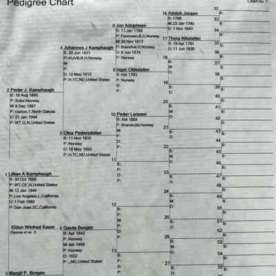 Pedigree chart prepared by Linda Hardesty of Arcadia, CA: Chart for Peder J. Kamphaug and Margit P. Borgen