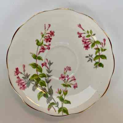 Cup and Saucer - Donated by Marlene (Mrs. Roger) Diehl