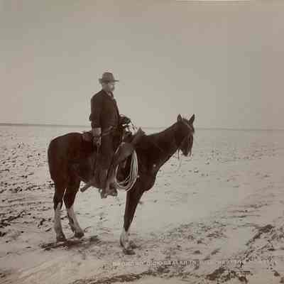 Bronco Dick - Dealer in Wild Western Horses