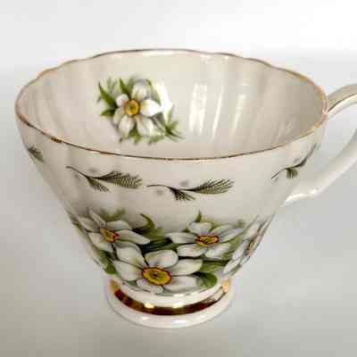 Cup