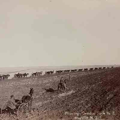 Plowing, Grandin Farm #2, Mayville, ND