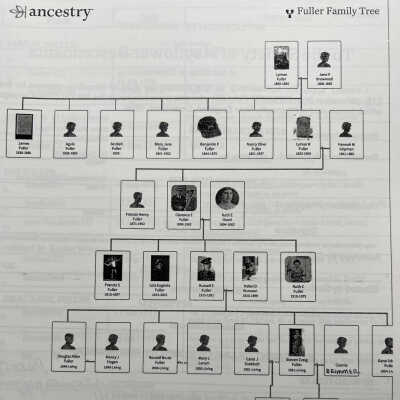 Fuller family tree
