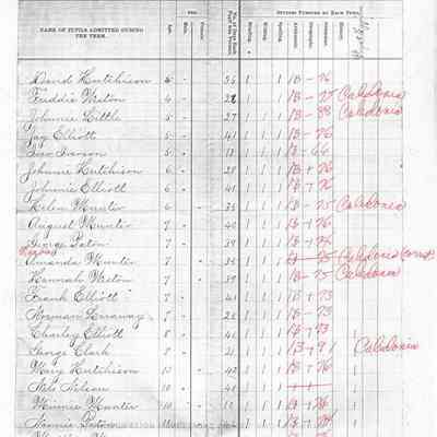 Caledonia School No. 4, Teacher's Report, 1887-06 (June)