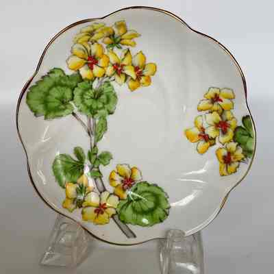 Saucer