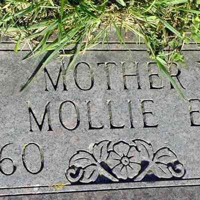 Mollie Elizabeth (Fleischer) Garrett, Mrs. Wm A. Garrett: US Find-a-Grave grave-marker, Cemetery, Hunter, Nd