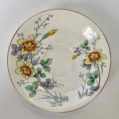Cup and Saucer