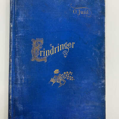 Erindringer by Simon Johnson, 1902