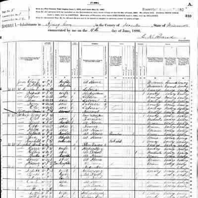 1880 US Census, Spring Grove, Houston County, MN: Mary Pikop + six children + mother-in-law