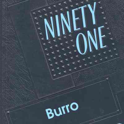 Hillsboro High School 1991 Yearbook