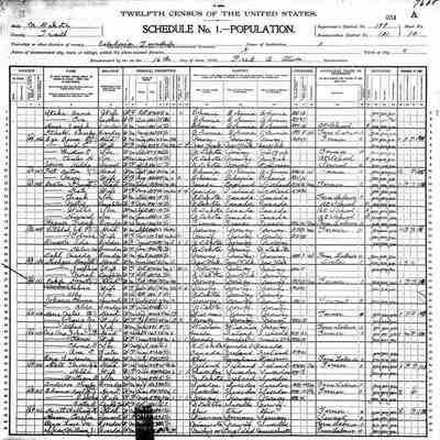 1900 US Census, Caledonia South (later Herberg) Township, Traill County, ND: Knut and Helena Pikop + son Ally, age 9