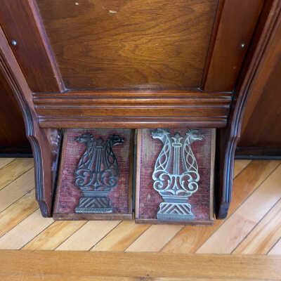 Organ