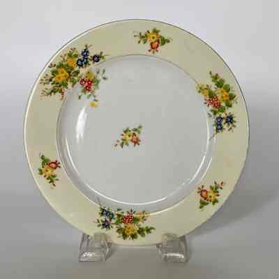Dinner & Luncheon Plates