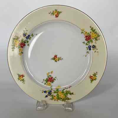 Dinner & Luncheon Plates