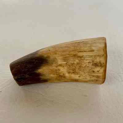 Horn Sausage Stuffer