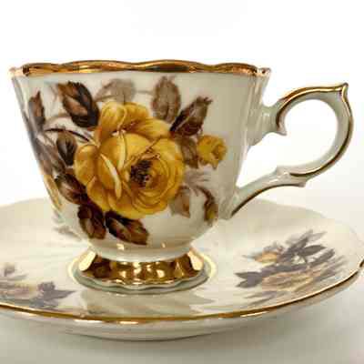 Cup and Saucer